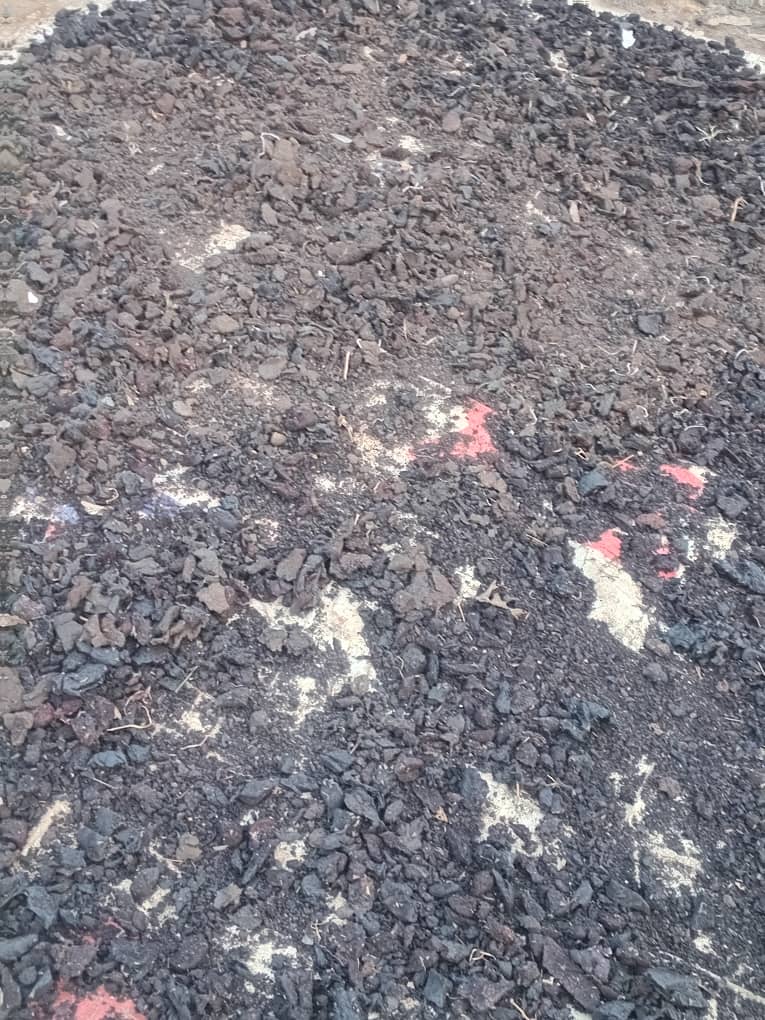 Blood Meal (High Protein & Nitrogen) – Just ₦400/kg! 1