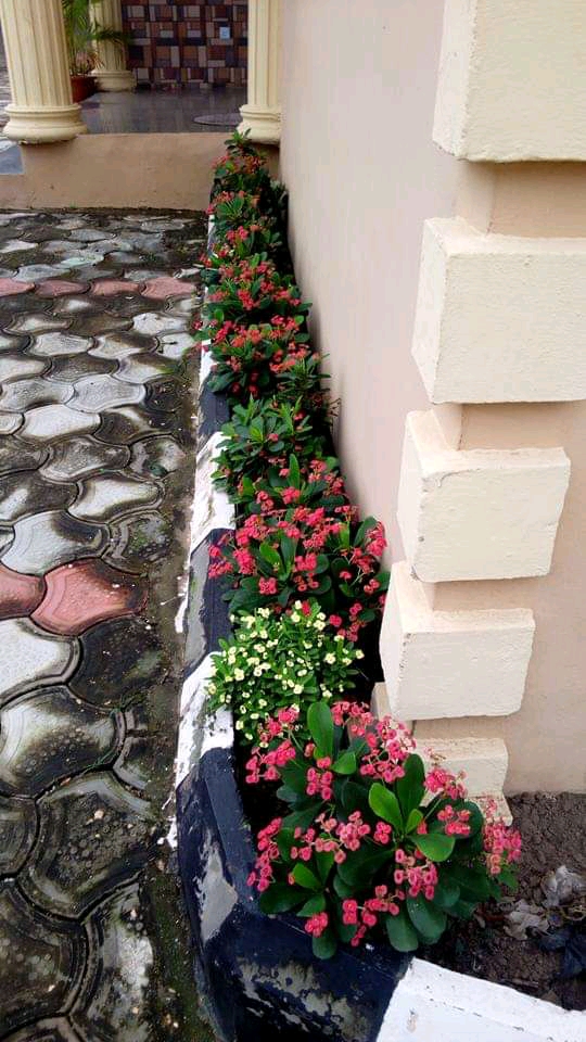 Horticultural landscape  3