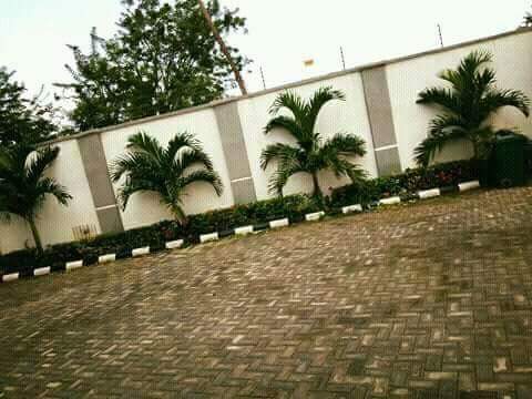 Horticultural landscape  2