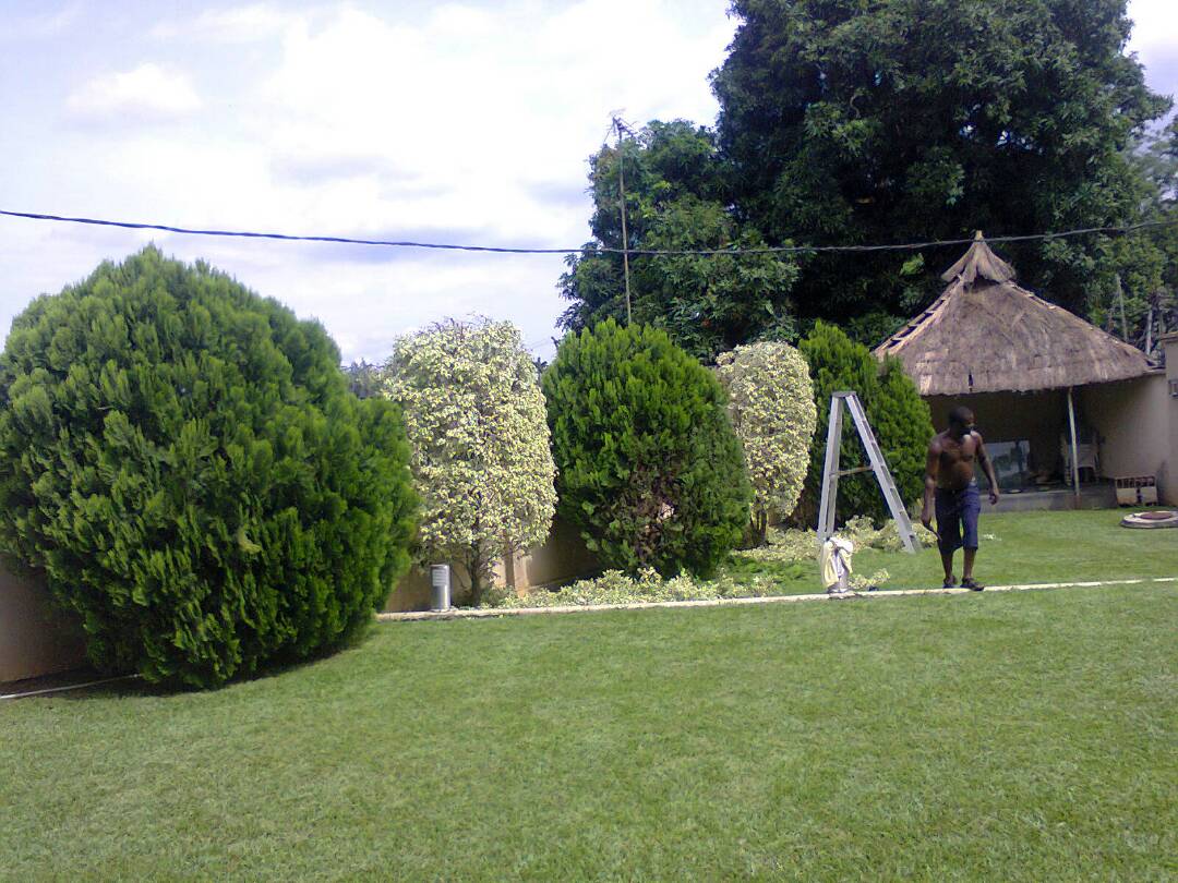 Horticultural landscape 