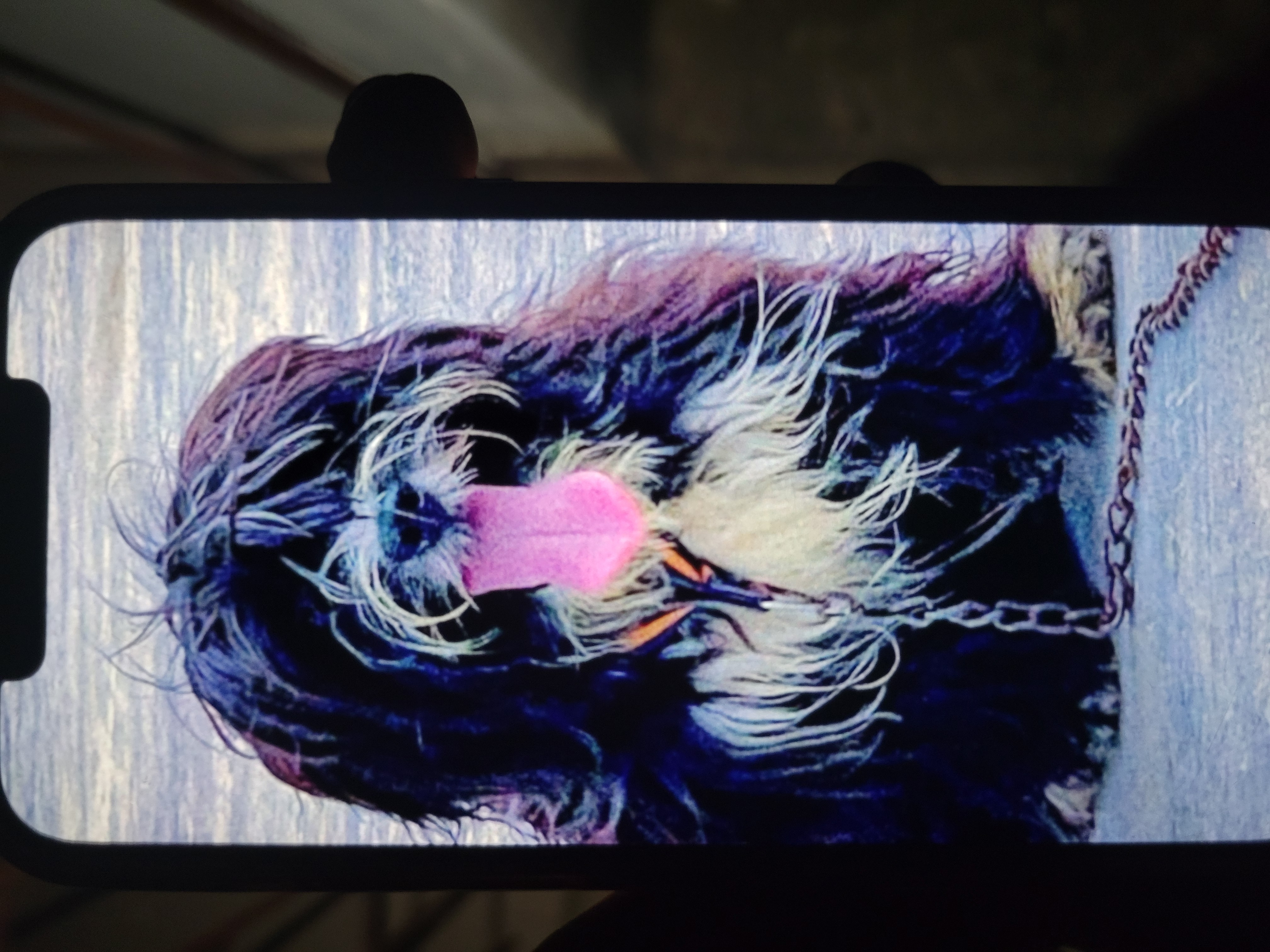 Opesegunmi's picture