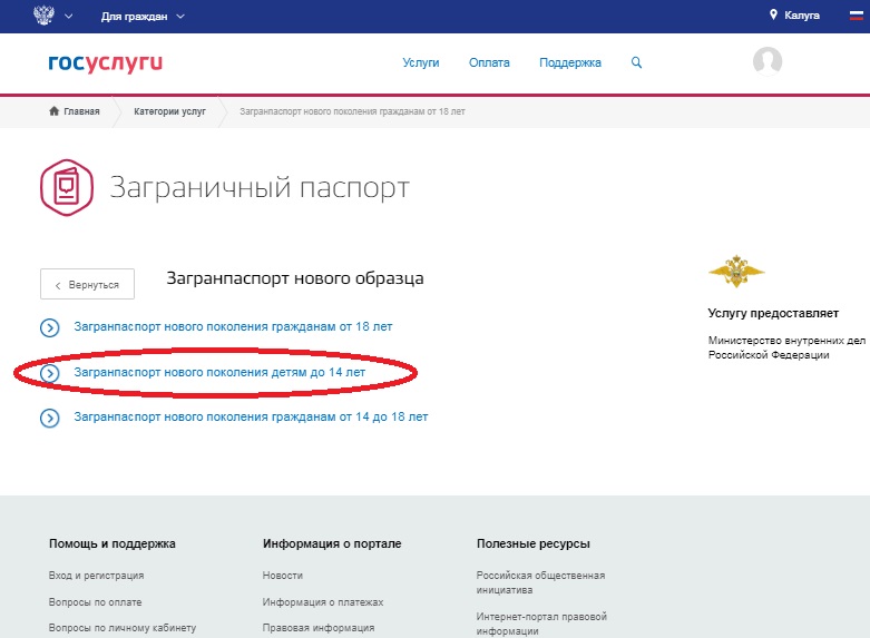 Паспорт старого образца через госуслуги процедура