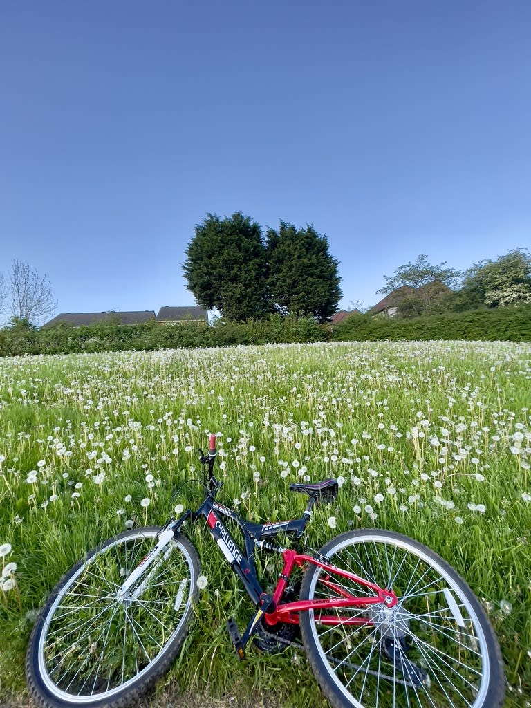 6AC4EB62-A045-40BA-BF7D-DE4512691AEE_1_105_c_iach2v