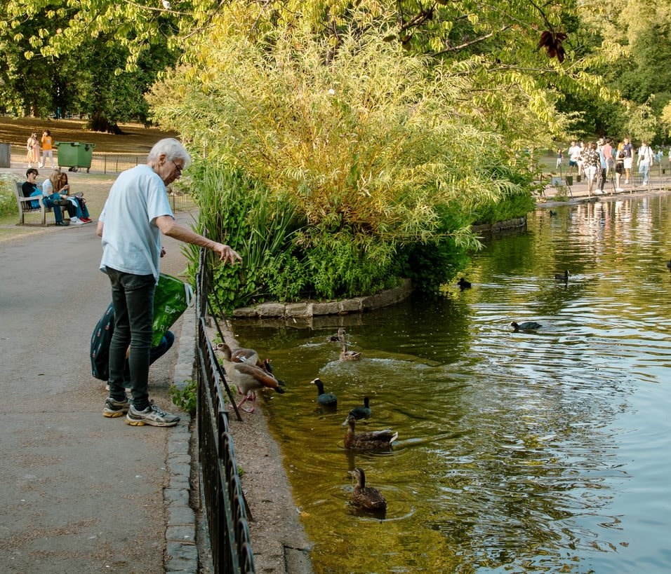 7E73D2EC-EA51-466A-BDAF-9D9004A6F343_1_105_c_ed62tt