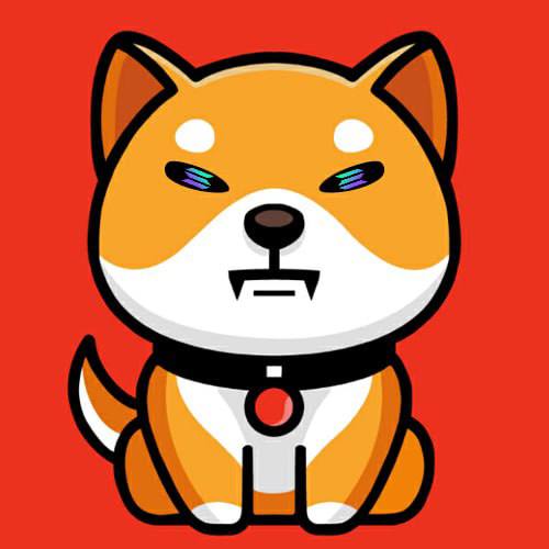 Baby Shiba Inu on SOL