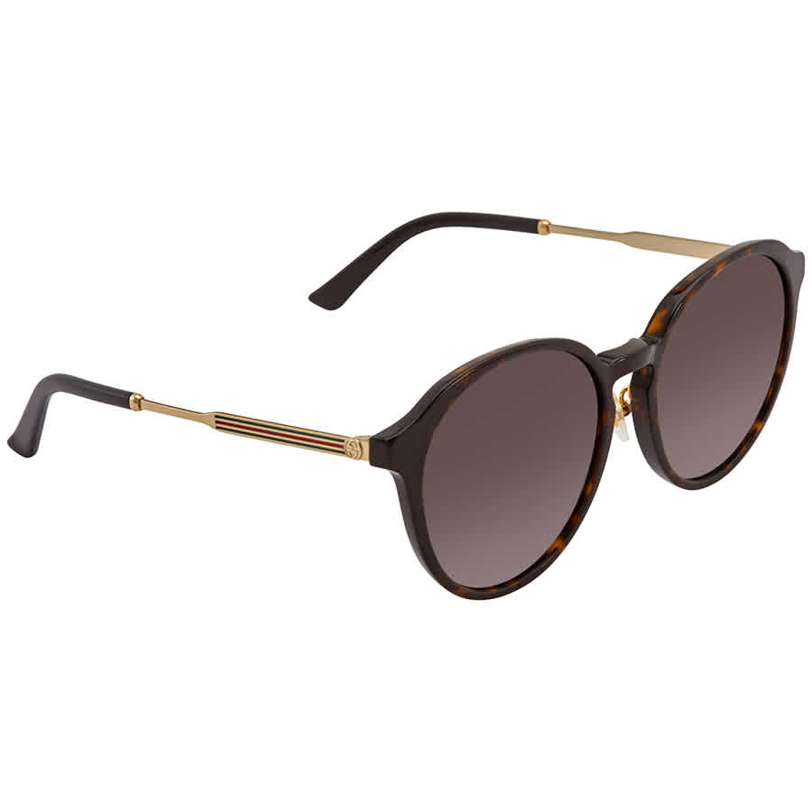 Gucci Brown Gradient Oval Ladies Sunglasses GG0205SK-003 57 GG0205SK ...