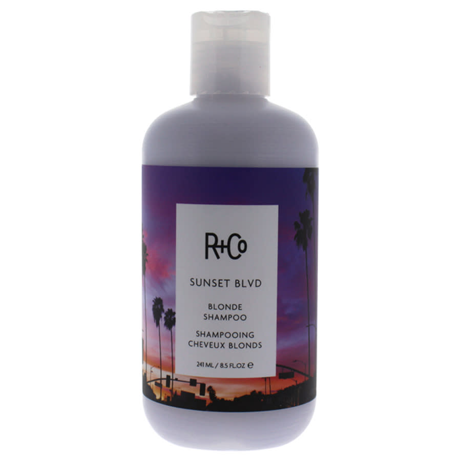 Sunset Blvd Blonde Shampoo by R+Co for Unisex - 8.5 oz Shampoo