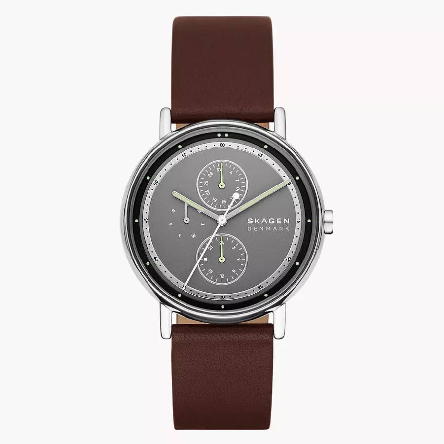 Skagen Signatur Multifunction Quartz Grey Dial Mens Watch SKW6941 99$