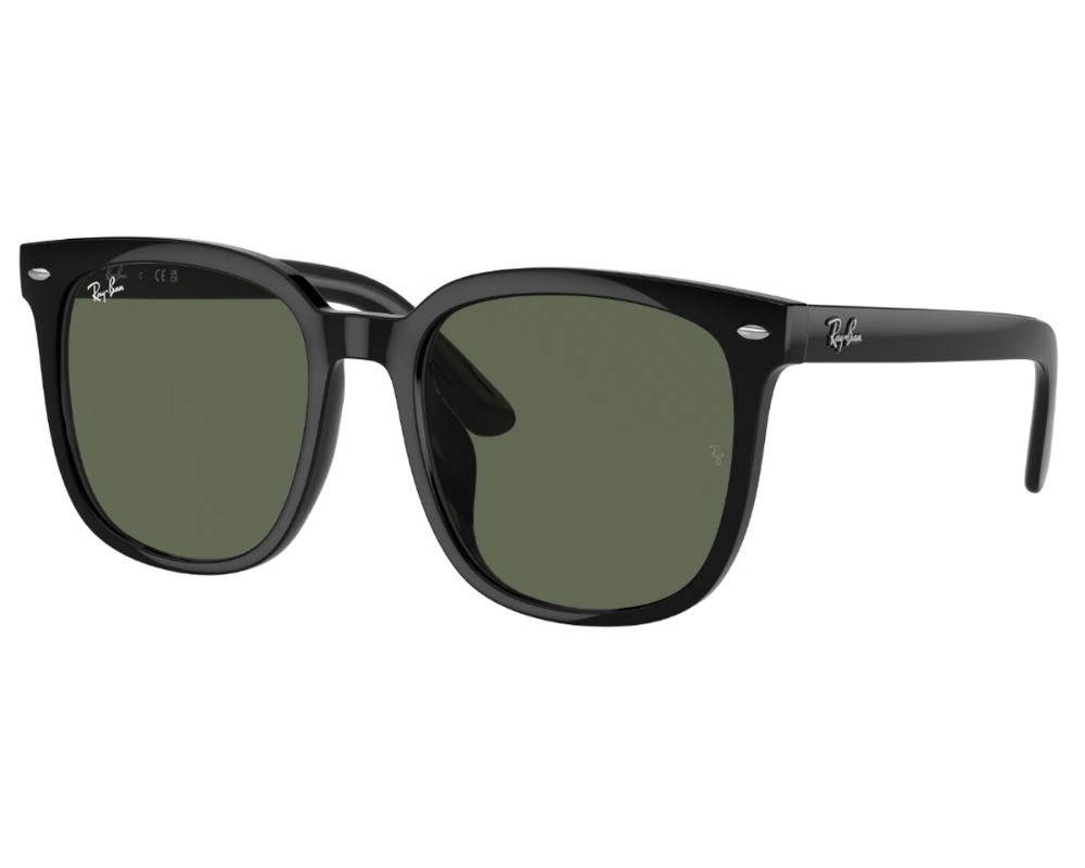 Ray-Ban Unisex Sunglass RB4401D -  Frame color: Black, Lens color: Dark Green