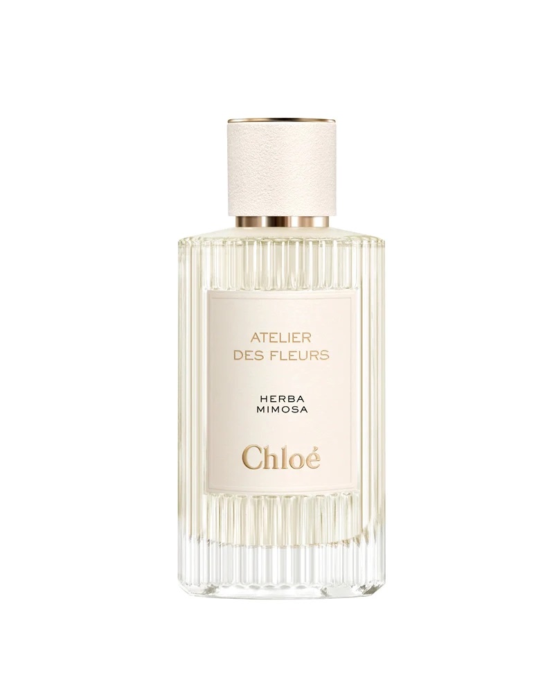 Chloe Atelier Des Fleurs Herba Mimosa EDP Spray 50 oz Fragrances 3614225344190 135$
