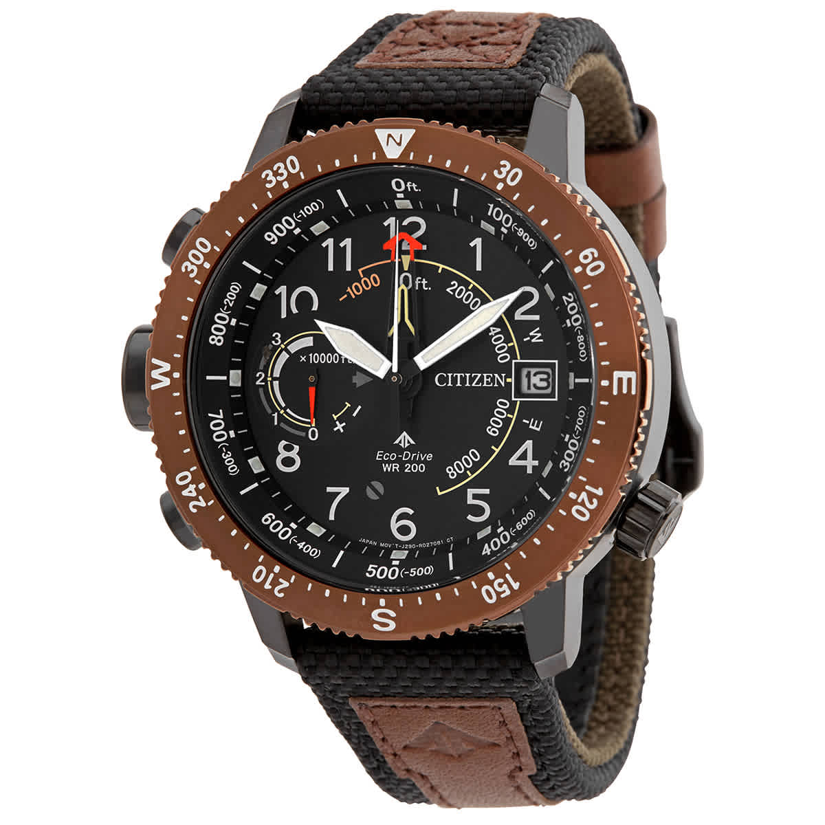 citizen men's promaster altichron