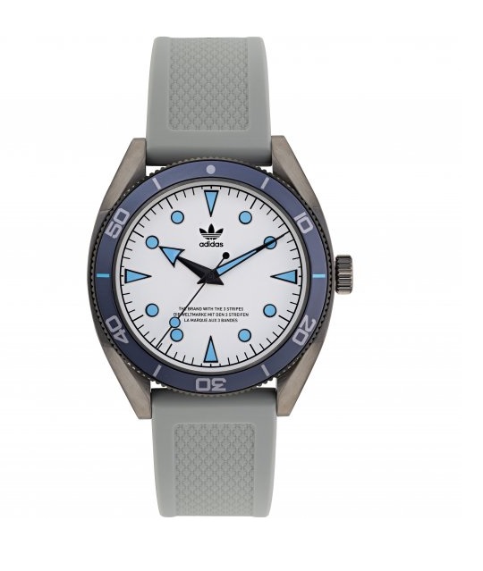 Adidas Originals Fashion Edition Two Silver Dial Mens Watch AOFH22003 100$