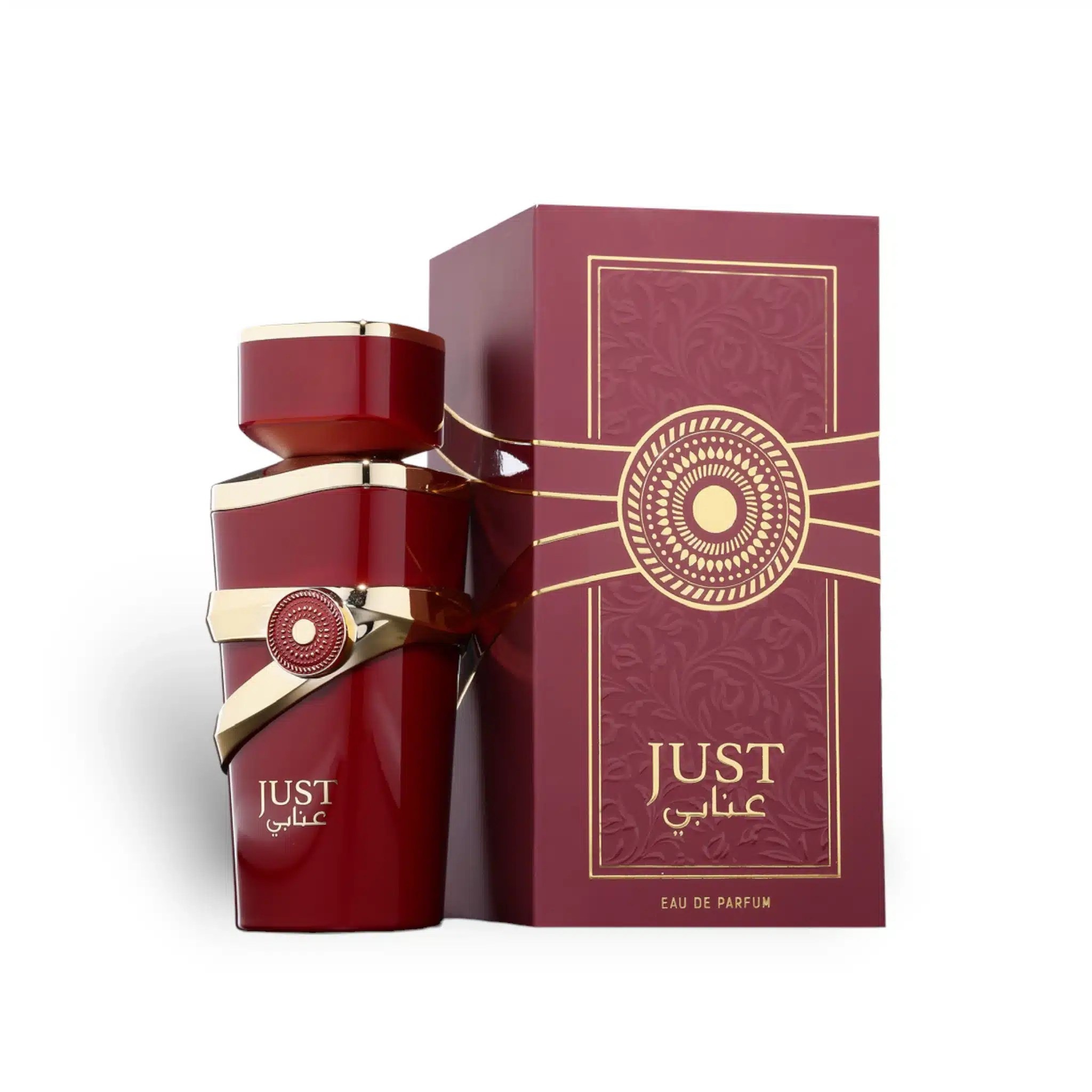 Fragrance World Ladies Just Anabi EDP Spray 34 oz Fragrances 6290360375885 20$