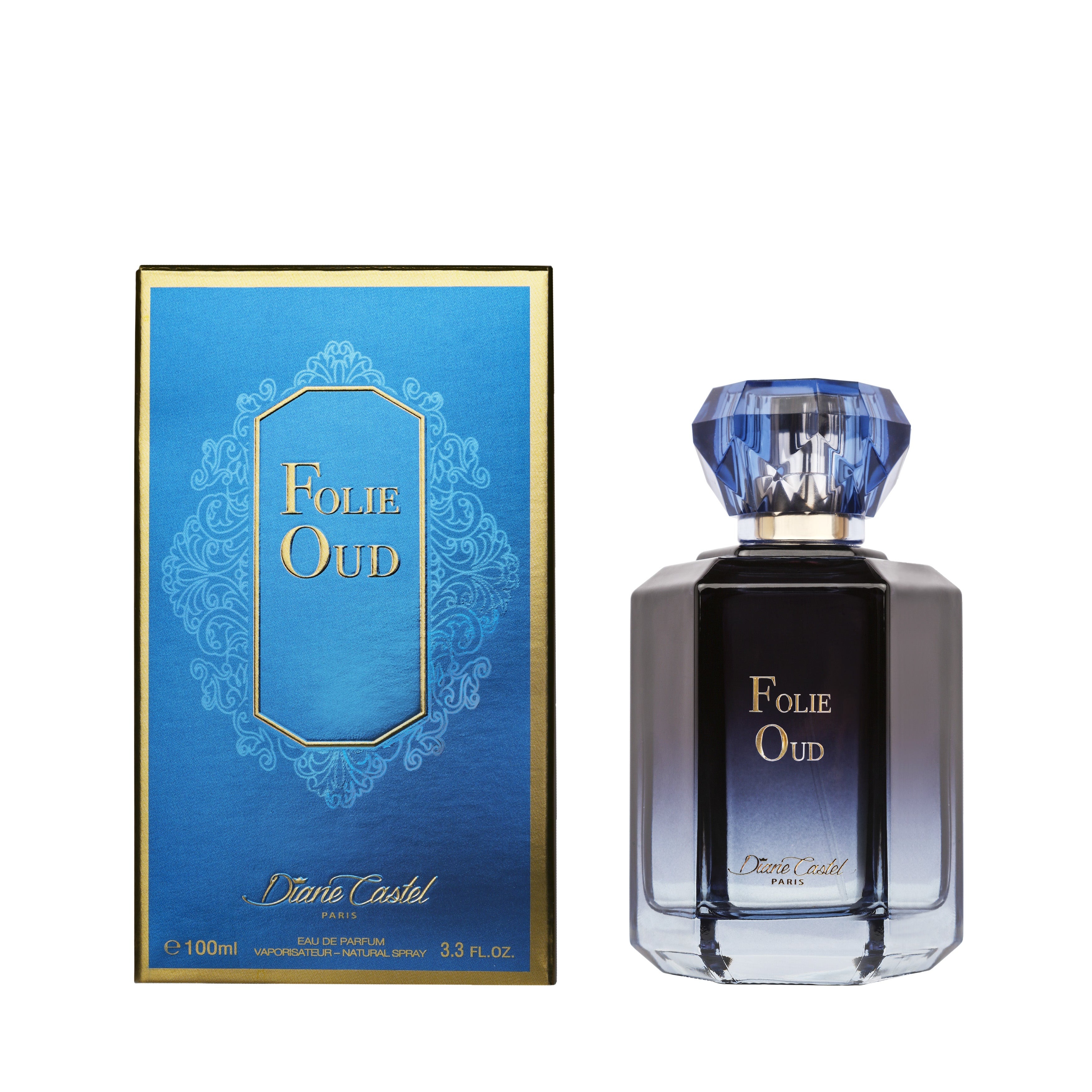 Diane Castel Unisex Folie Oud EDP Spray 3.4 oz Fragrances 3760004324591