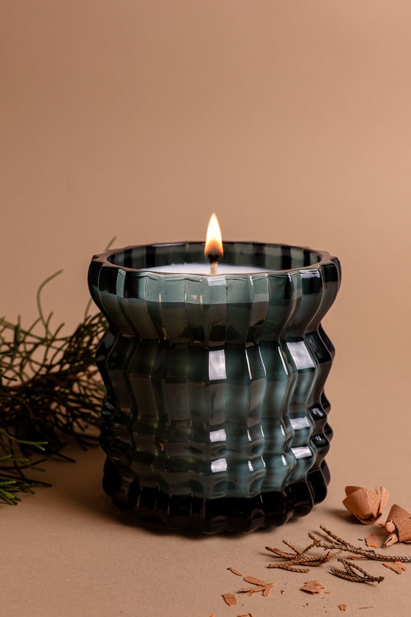 Noel / Auden Lueur Scented Candle 7.5 oz (212 ml)