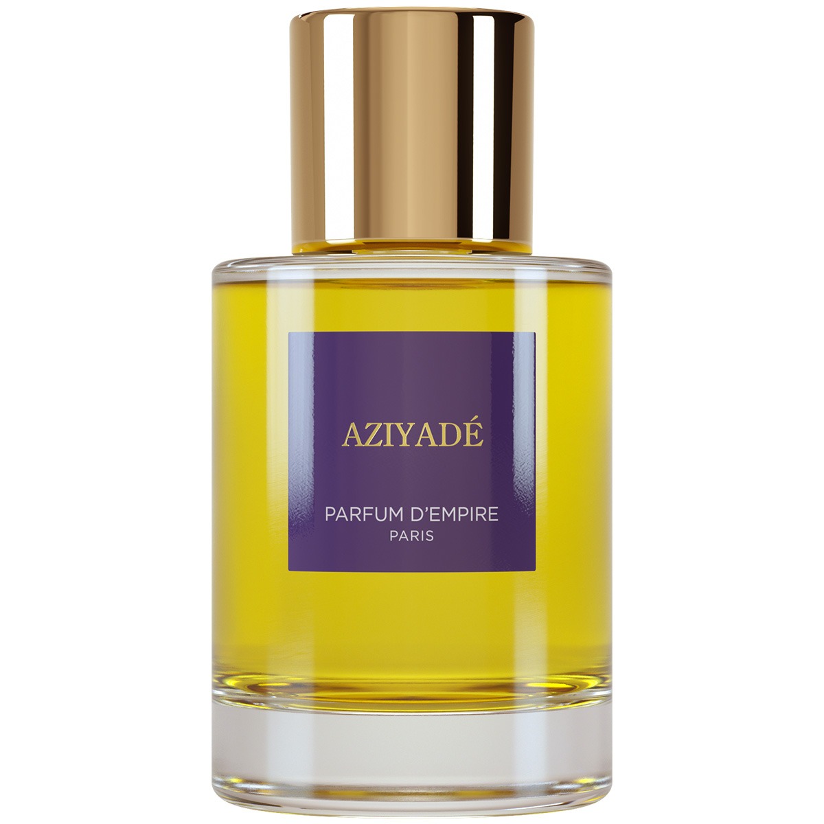 Parfum DEmpire Unisex Aziyade EDP 34 oz Fragrances 3760302990597 135$