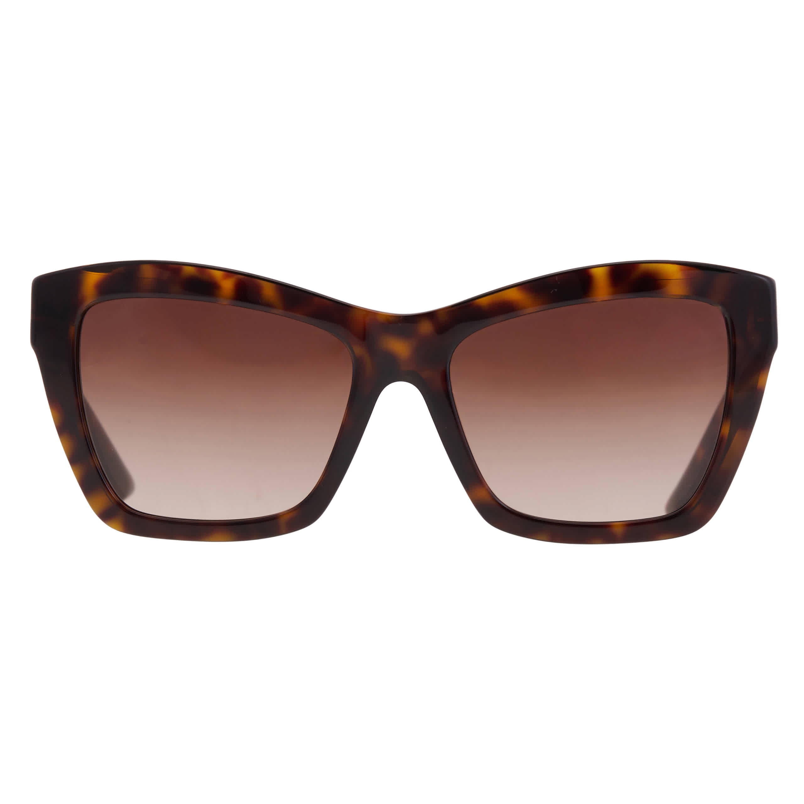 Jimmy Choo Brown Gradient Cat Eye Ladies Sunglasses JC5031 500213 54