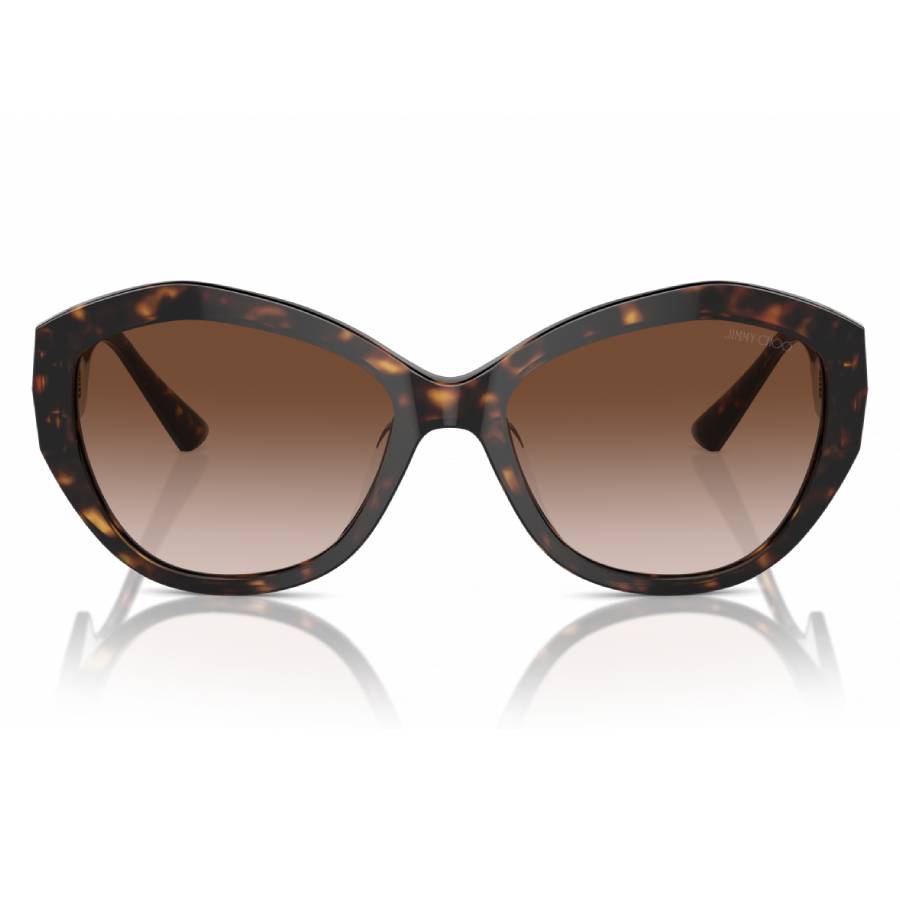 Jimmy Choo Brown Gradient Butterfly Ladies Sunglasses JC5013U 500213 55
