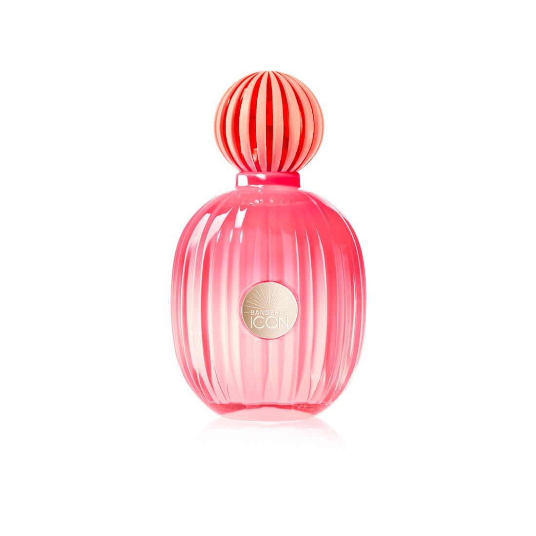 Antonio Banderas Ladies The Icon Splendid EDP Spray 34 oz Fragrances 8411061084922 21$