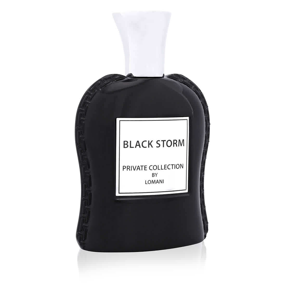 Lomani Unisex Black Storm EDP Spray 34 oz Fragrances 3610400036799 59$