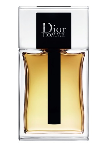 Dior Men's Dior Homme EDT Spray 3.4 oz Fragrances 3348901419147 | eBay
