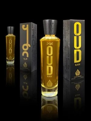 House Of Perfumes Unisex Oud Black EDP Spray 3.4 oz Fragrances 6290212302236