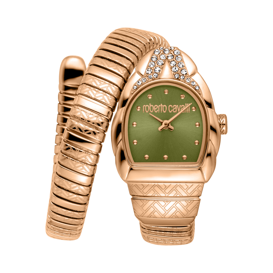 Roberto Cavalli Aurora Green Dial Ladies Watch RC5L133M0055 362$