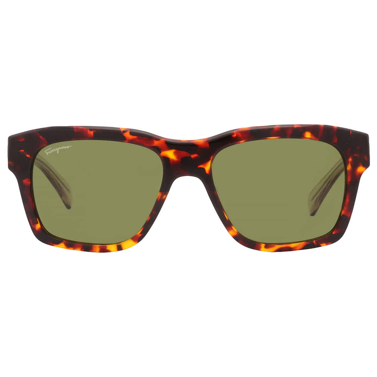 Salvatore Ferragamo SF 1087S 219 Men's Sunglasses Tortoiseshell Size 56