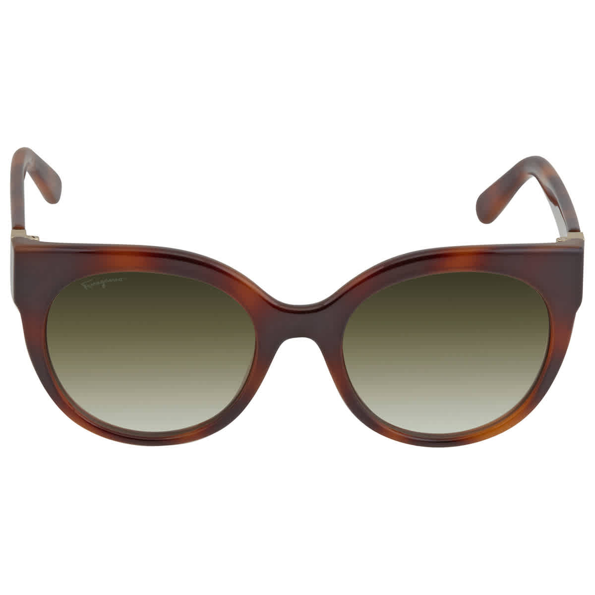Salvatore Ferragamo SF 1031S 214 Men's Sunglasses Tortoiseshell Size 53