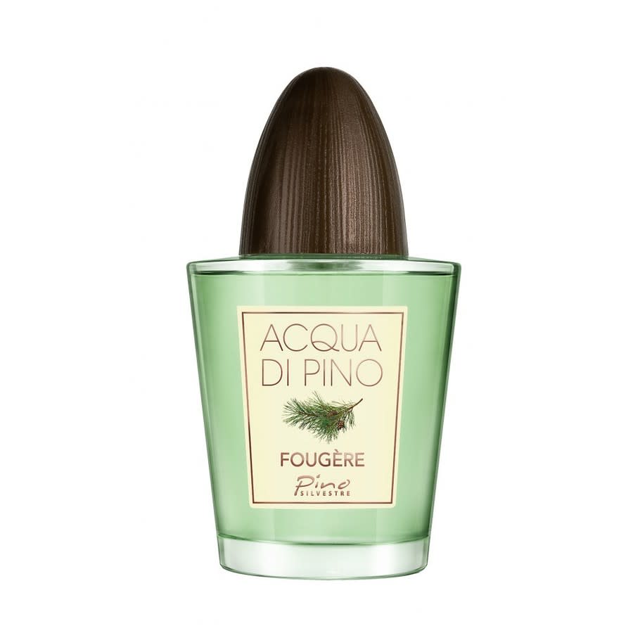 Pino Silvestre Mens Acqua Di Pino Fougere EDT Spray 4.2 oz Fragrances 679602551120