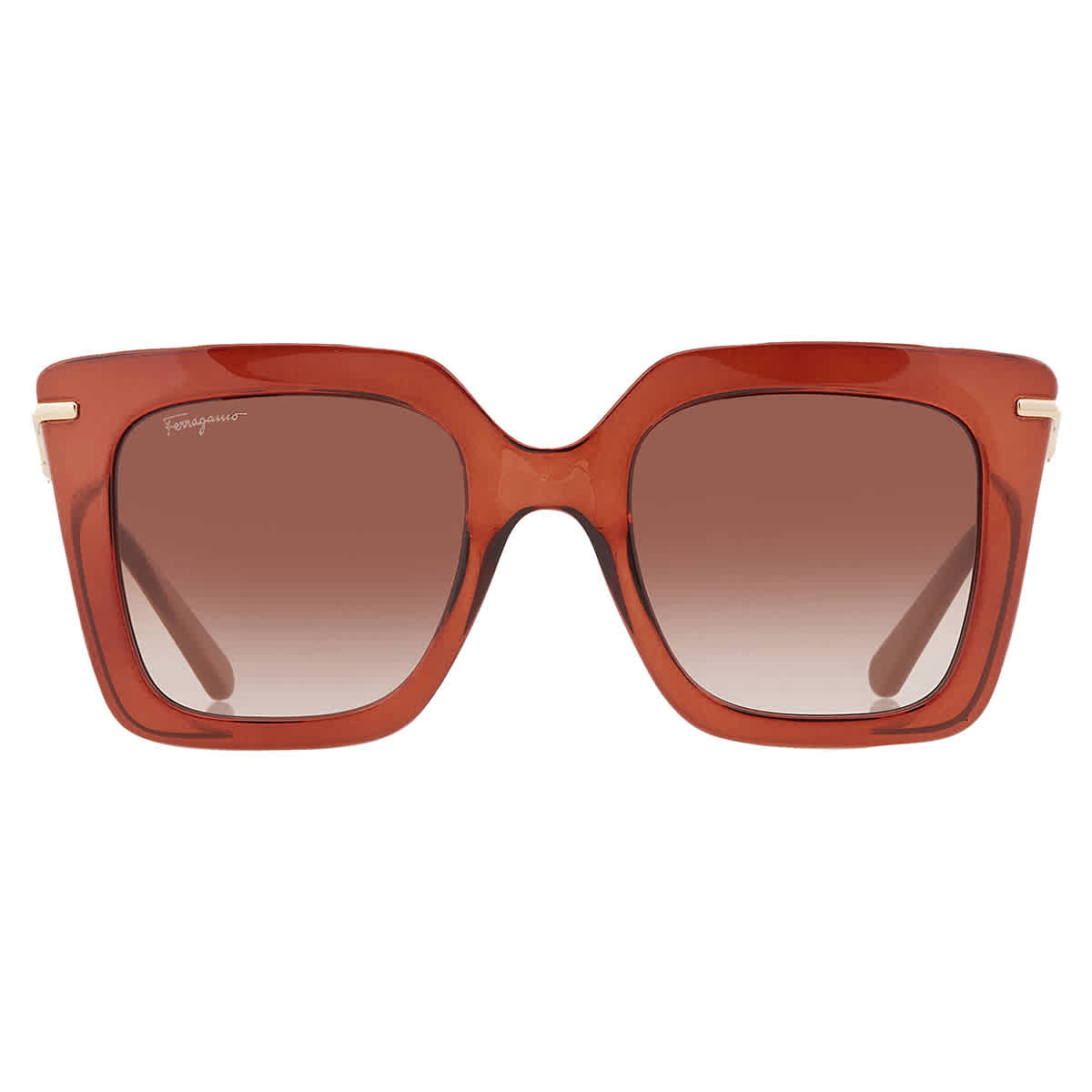 Salvatore Ferragamo Brown Gradient Butterfly Ladies  display picture 2