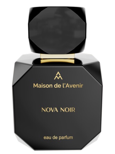 Maison de lAvenir Unisex Nova Noir EDP Spray 34 oz Fragrances 6291012004085 35$