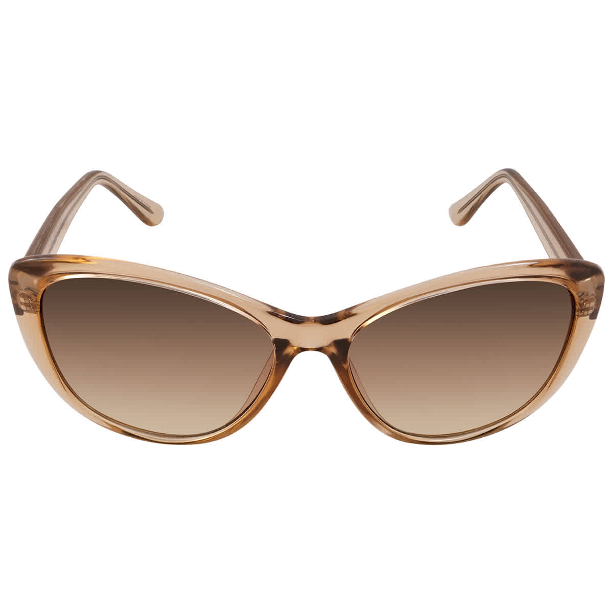 Calvin Klein Brown Gradient Butterfly Ladies Sunglasses CK19560S 270 57