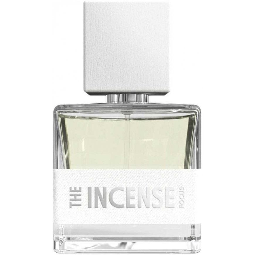 Fragrance One Mens The Incense Focus EDP Spray 1.7 oz Fragrances 4260650385513