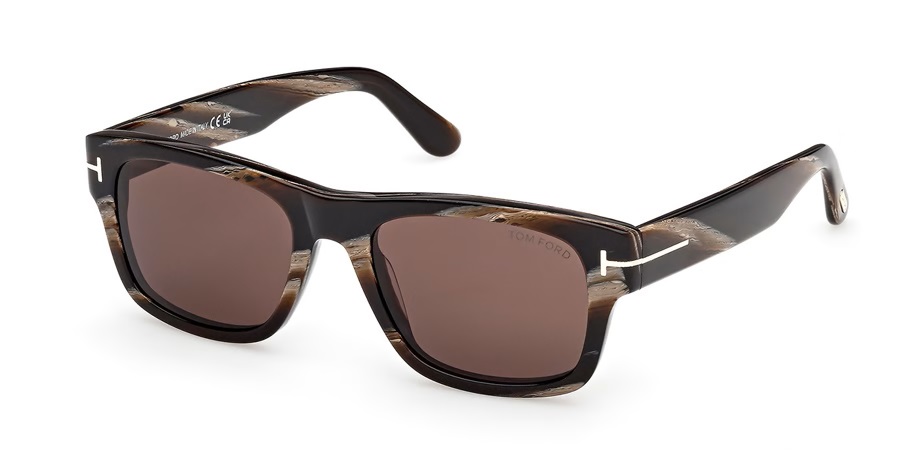 Tom Ford Smith-02 Brown Rectangular Mens Sunglasses FT1303 64E 55