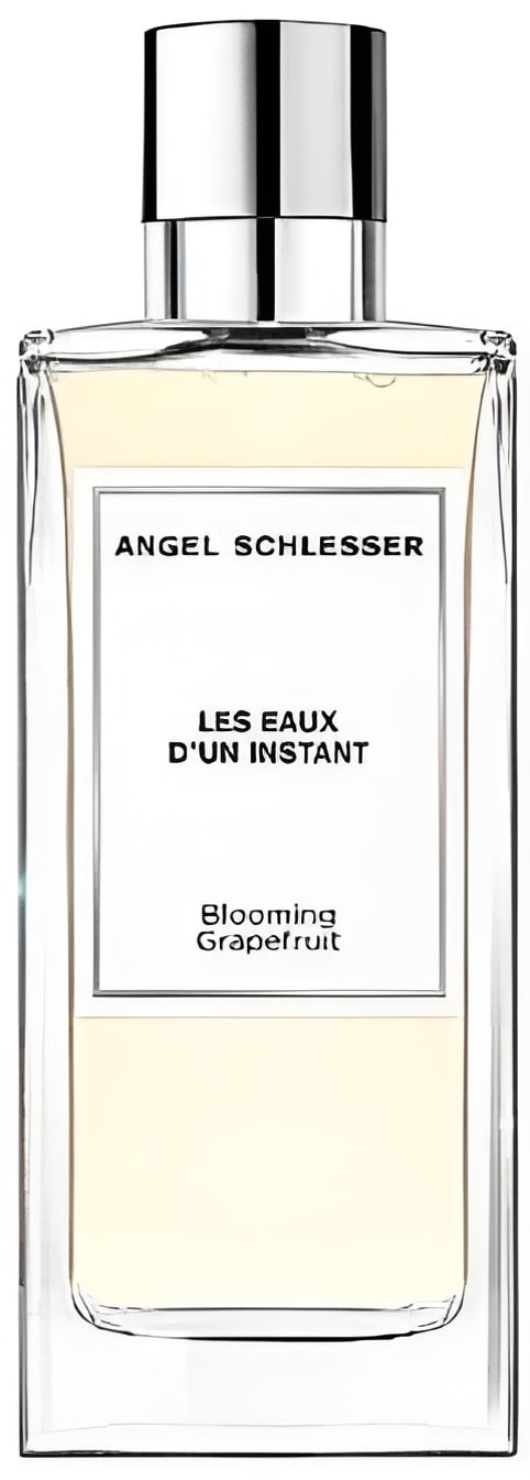 Angel Schlesser Unisex Blooming Grapefruit EDT Spray 3.4 oz (Tester) Fragrances 8058045426851