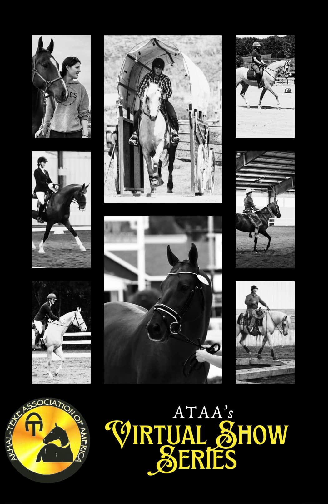 ATAA's Virtual Show Series poster — a black-and-gold collage of photographs of Akhal-Tekes competing in hand, under saddle, and in harness