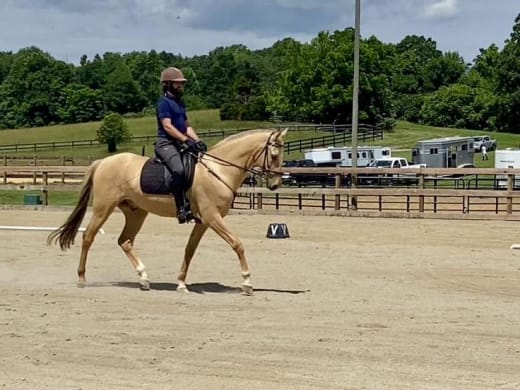 ATAA Virtual Show Series competitor
