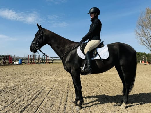 ATAA Virtual Show Series competitor