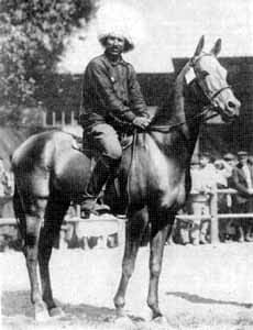 Akhal-Teke stallion Mele Koush, foaled 1909