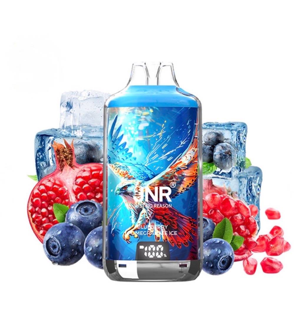 Blueberry Pomegranate Ice