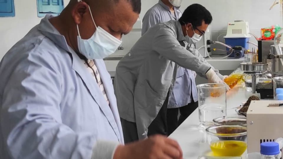 Borneo Botanica laboratory team preparing quality-control documentation