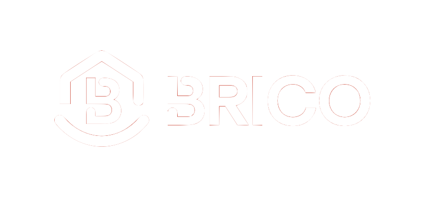 Brico Depot logo