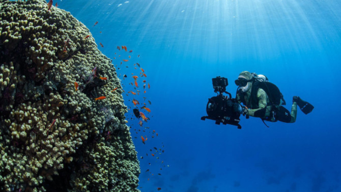 Saudi-funded OceanQuest aims to transform deep-ocean research and access