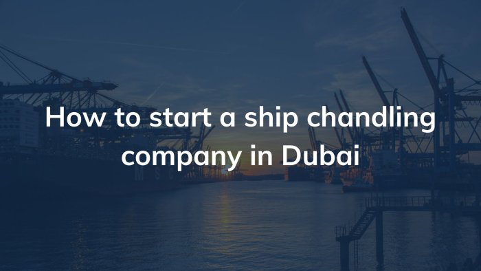 Business Setup In Dubai Uae Company Formation Services Pro Partner