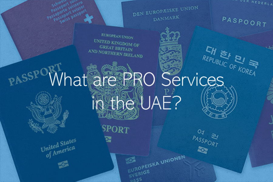 What are PRO Services in the UAE?
