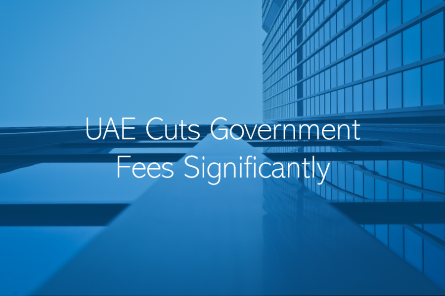 UAE Cuts Government Fees significantly across most Ministries