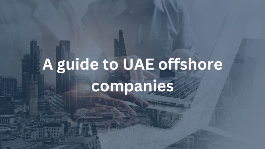 A Guide to UAE Offshore Companies