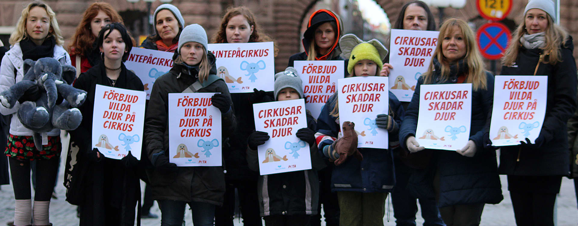 Vi fortsätter påminna regeringen: glöm inte bort de vilda djuren på cirkus!