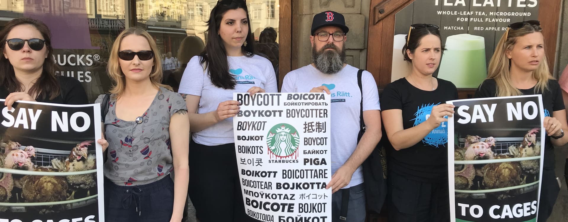 Djurorganisationer i globalt upprop mot Starbucks
